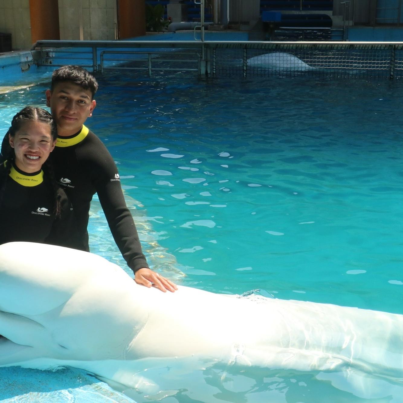 Claudia and Jaziel went to Sea World and got to pet a beluga and a dolphin.
