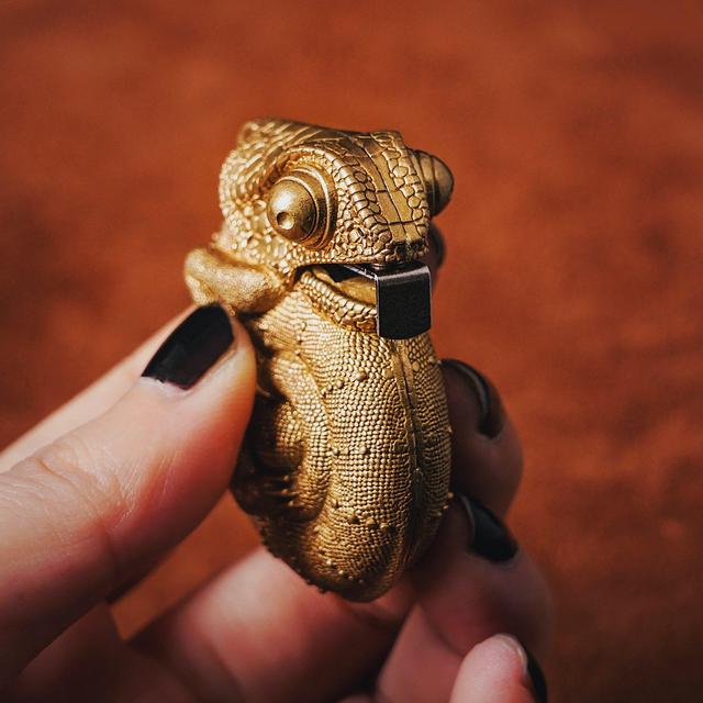 Chameleon Tape Measure