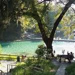 Fanning Springs State Park