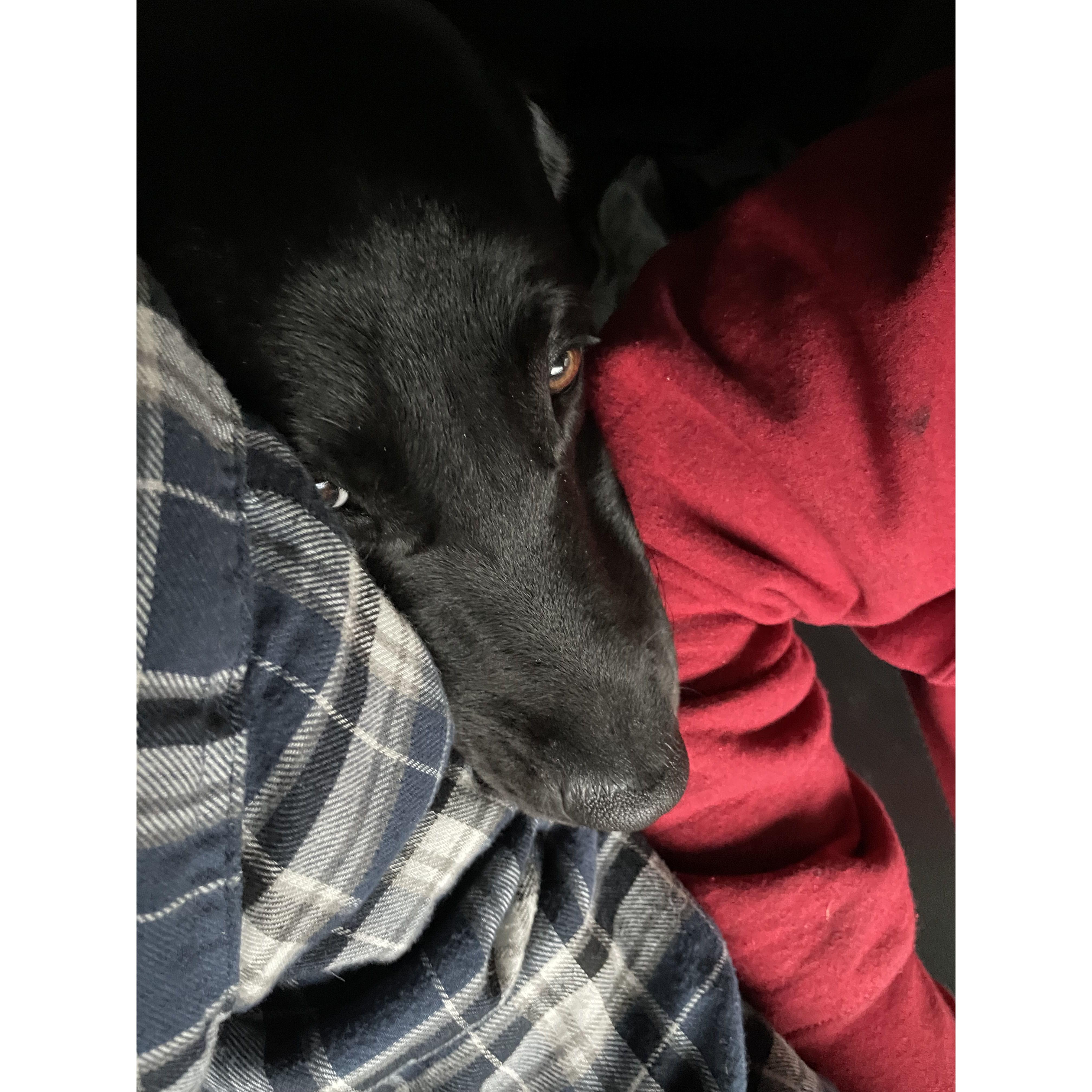 Culver loves Cooper too.