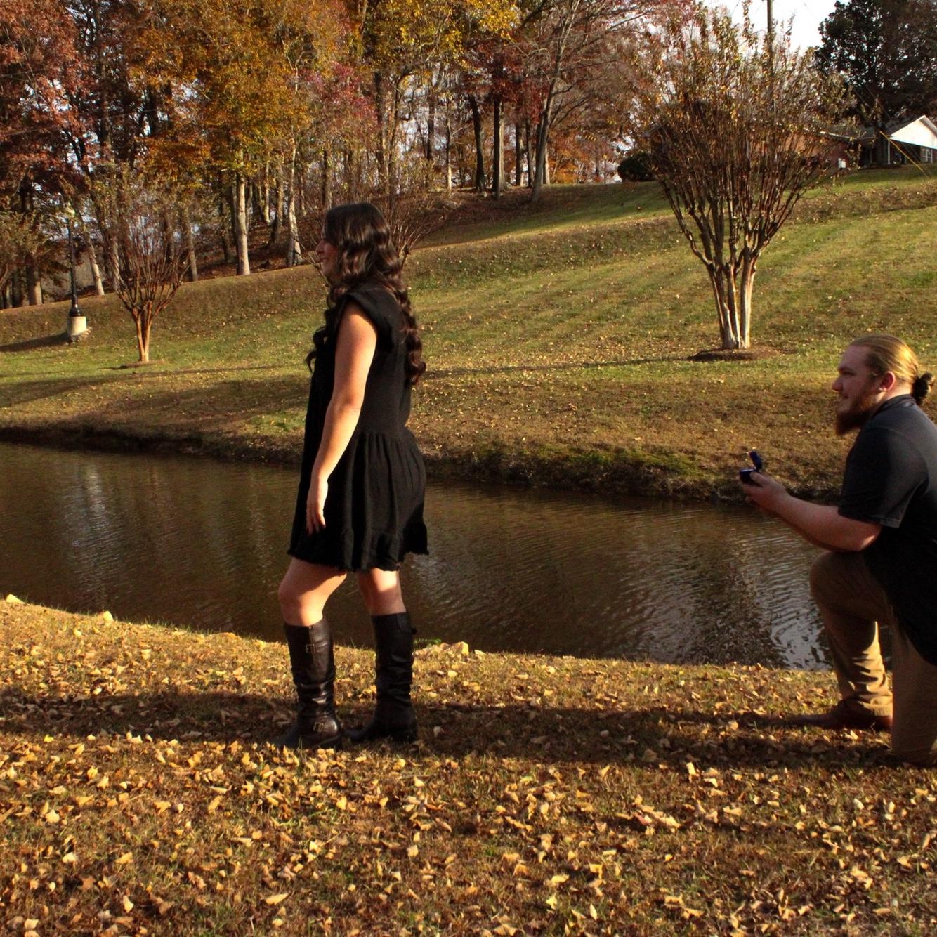The Proposal 2025
