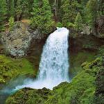 Koosah and Sahalie Falls Trail