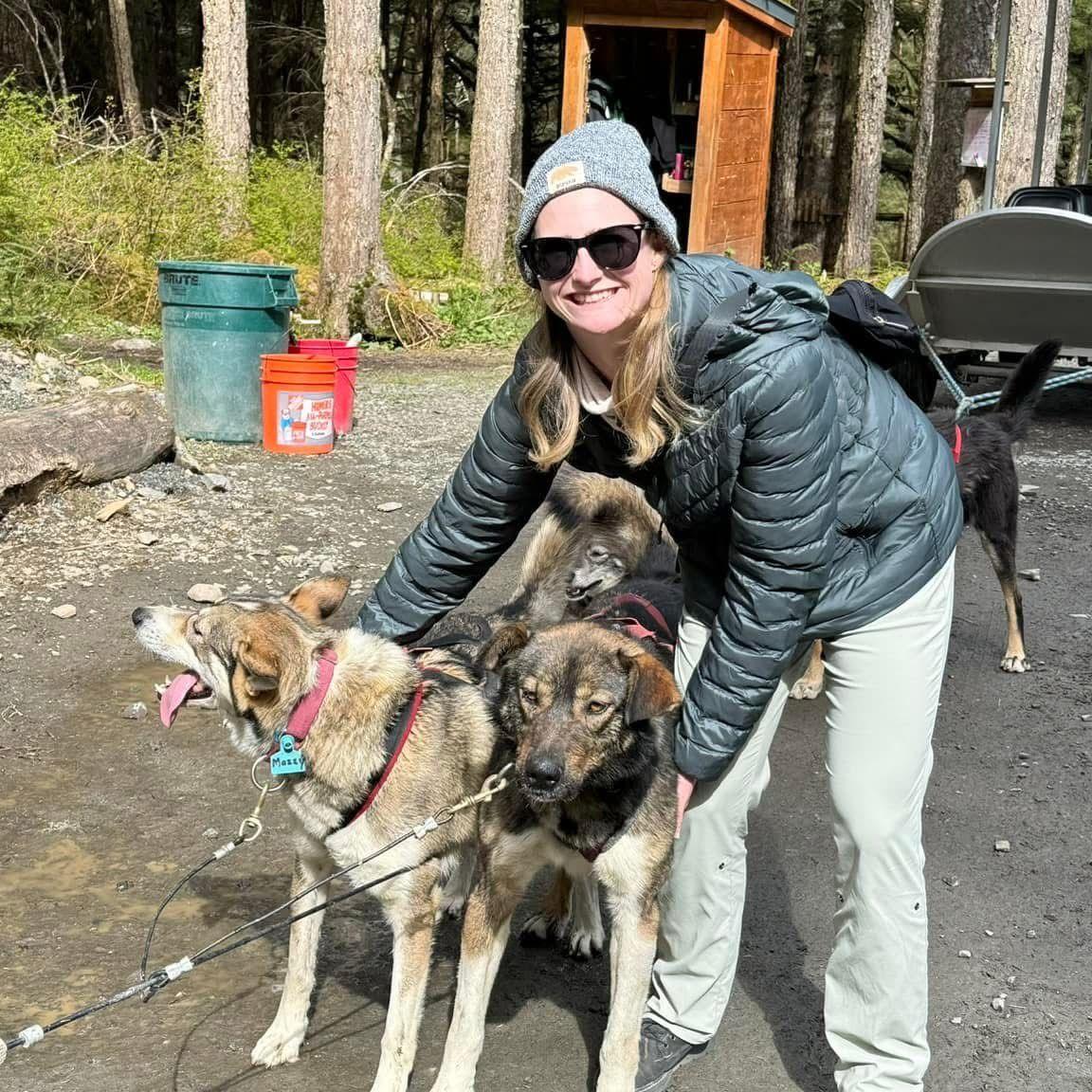 Dog Sledding Alaska 2024