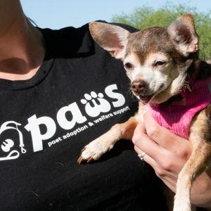 Support a Shelter Dog! Donate on our behalf.
