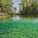 Wekiwa Springs State Park