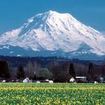 Mount Rainier National Park