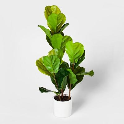 33" x 16" Fiddle Leaf Fig Plant in Pot Green/White - Threshold™