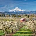 Hood River