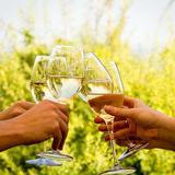 Wine tour Cape Town and Stellenbosch