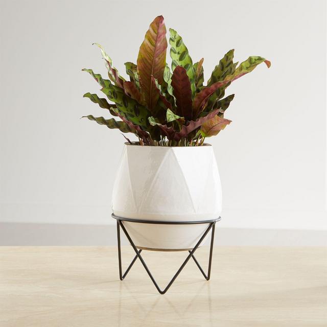 Aaro Medium Geo Planter with Stand