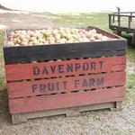Davenport Fruit Farm Cidery & Winery