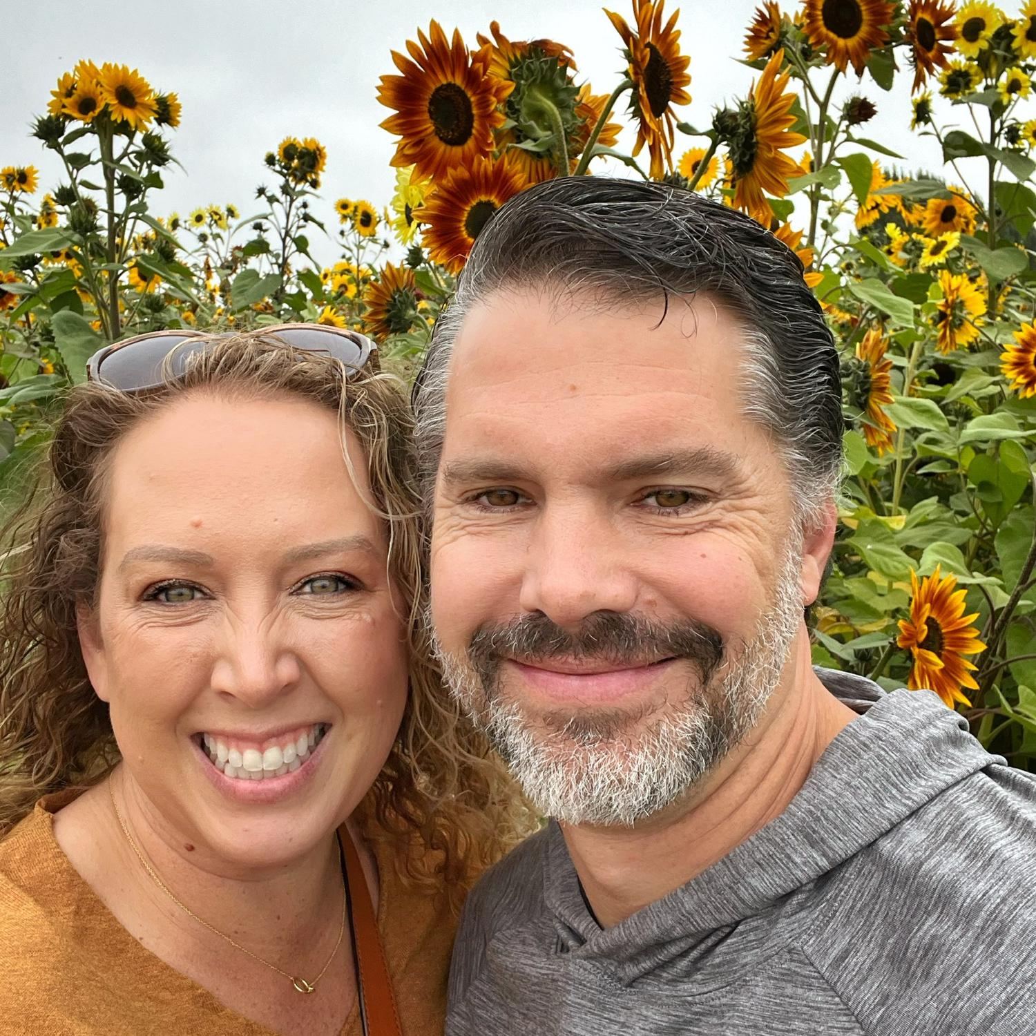 Sunflower fields