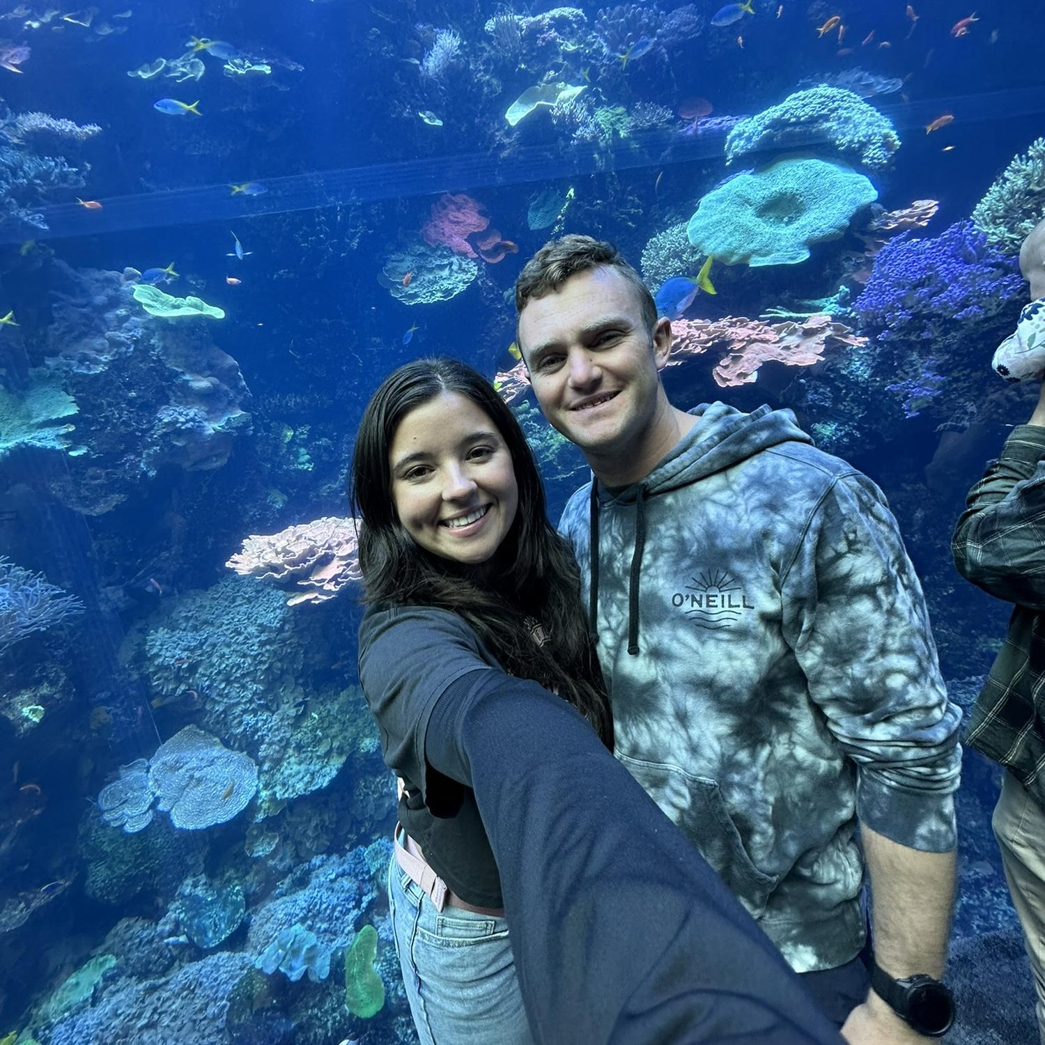 Georgia aquarium!