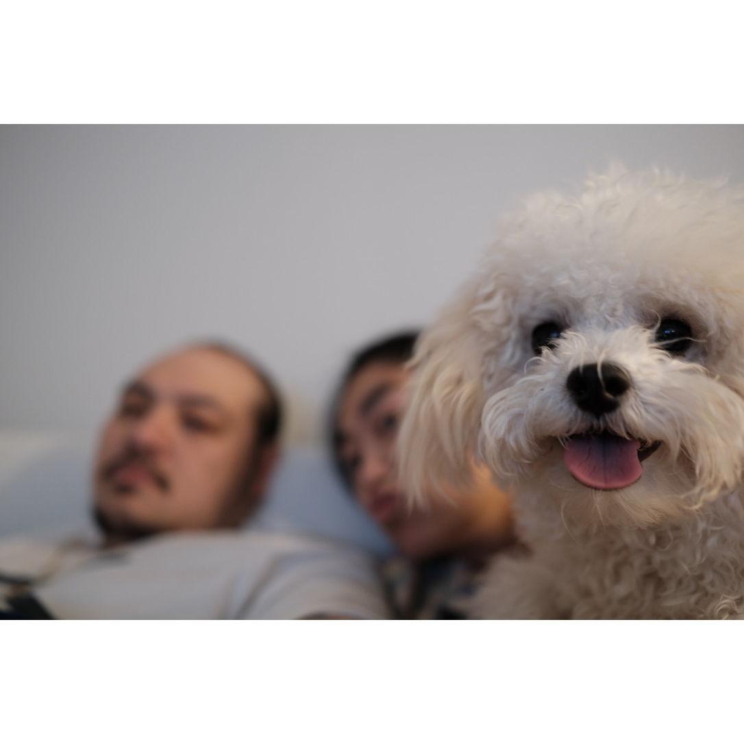 We got our dog Johnson! He's the best!