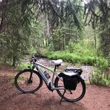 Fraser River Trail