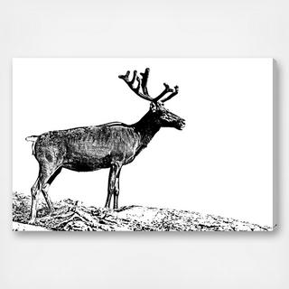 All in the Wild Canvas Art