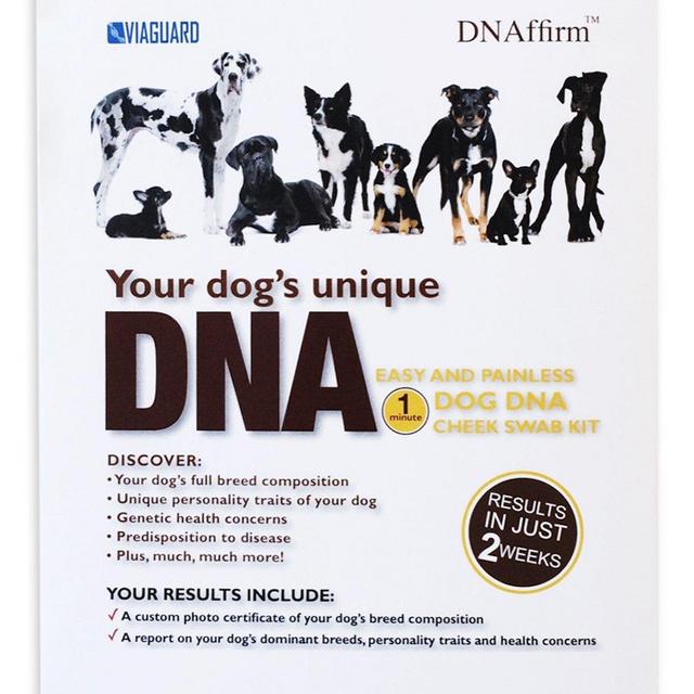Dog DNA - Canine Breed Identification Test - Home Cheek Swab Kit