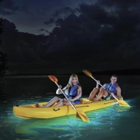 Bioluminescent Bay kayak tour