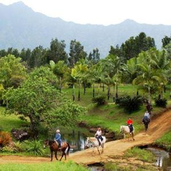 Horseback Riding On Our Honeymoon
