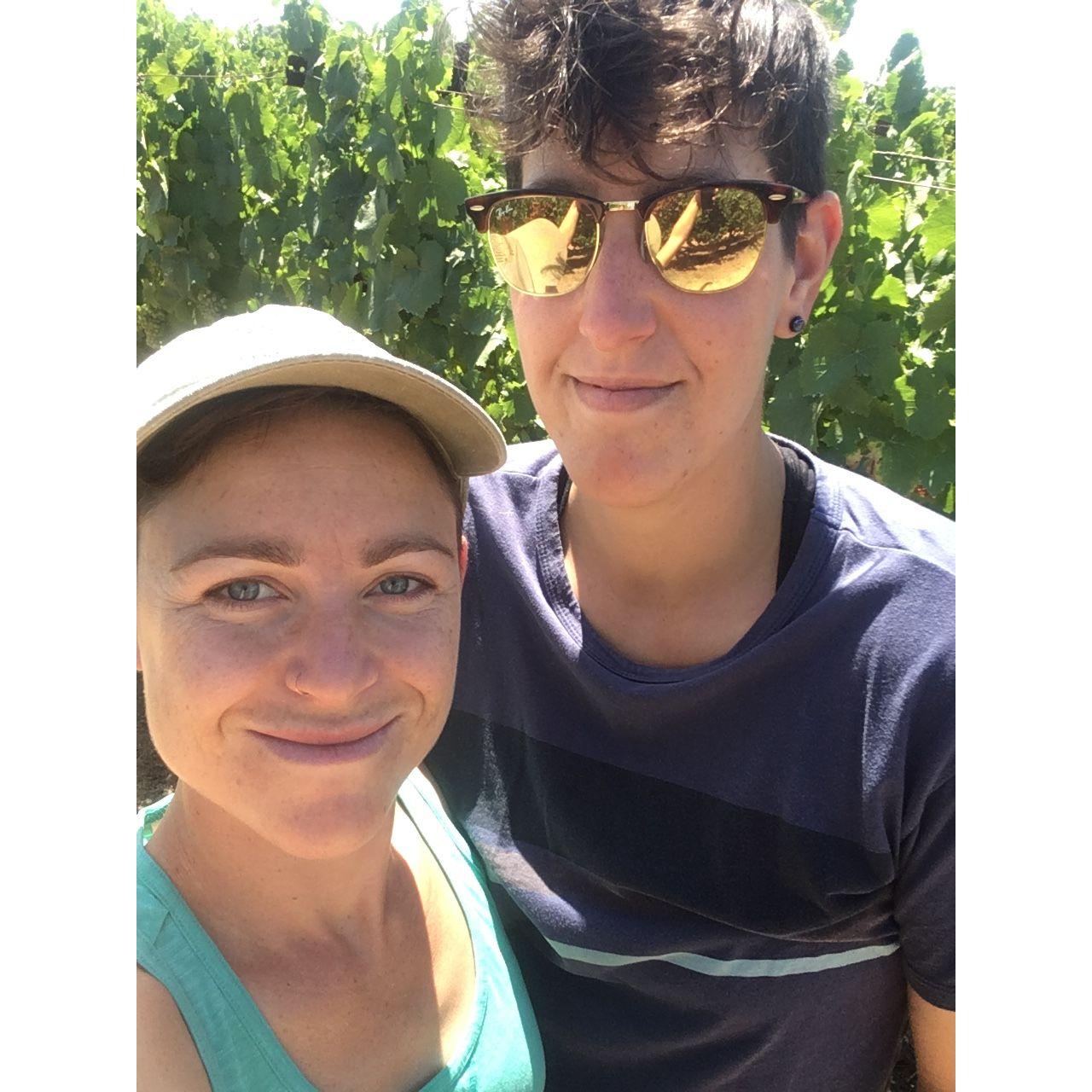 vineyard sampling for Birdhorse Wines