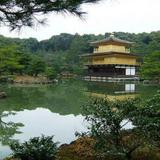 For a serene escape visit Morikami Museum & Japanese Gardens