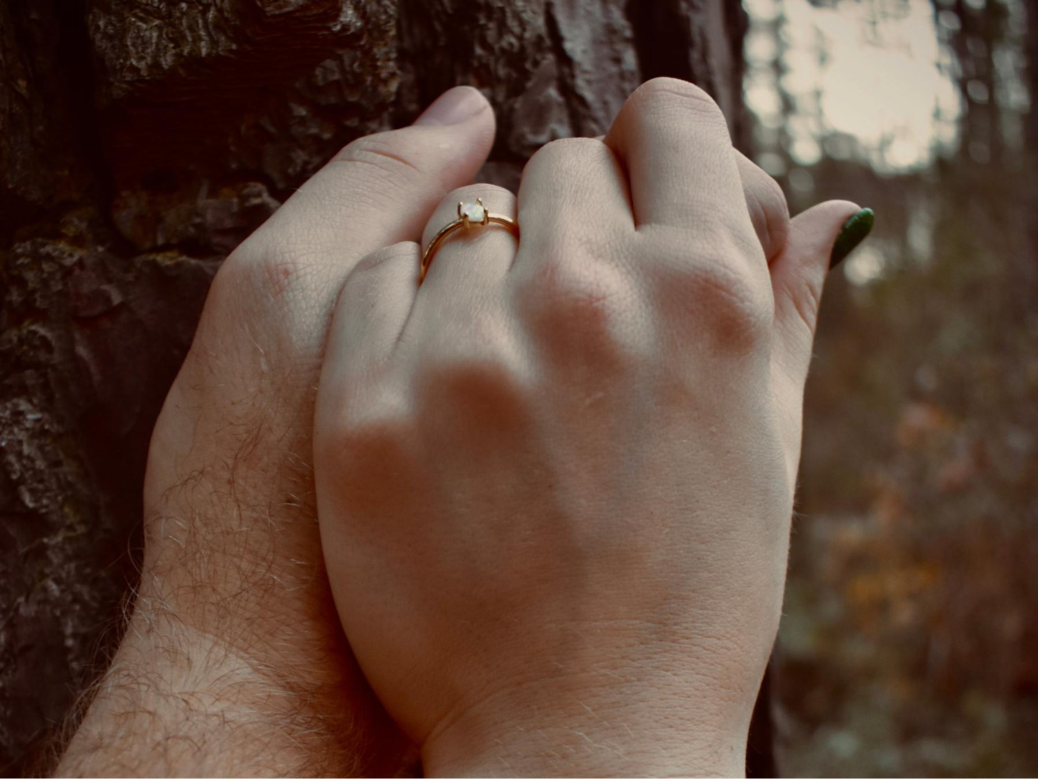 The Wedding Website of Anna Kuhlman and Micah Kuhlman