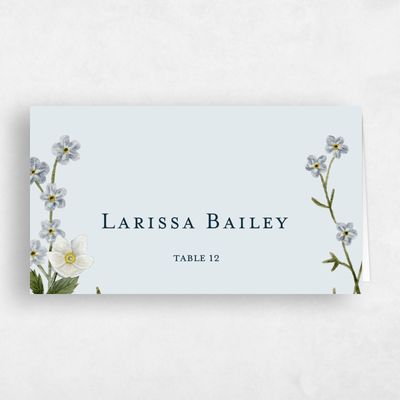 Ice, Blue Wedding Place Card - Winstead