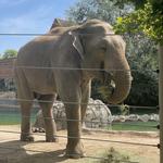Denver Zoo
