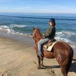 Horseback Beach Rides with Monterey Bay Equestrian Center