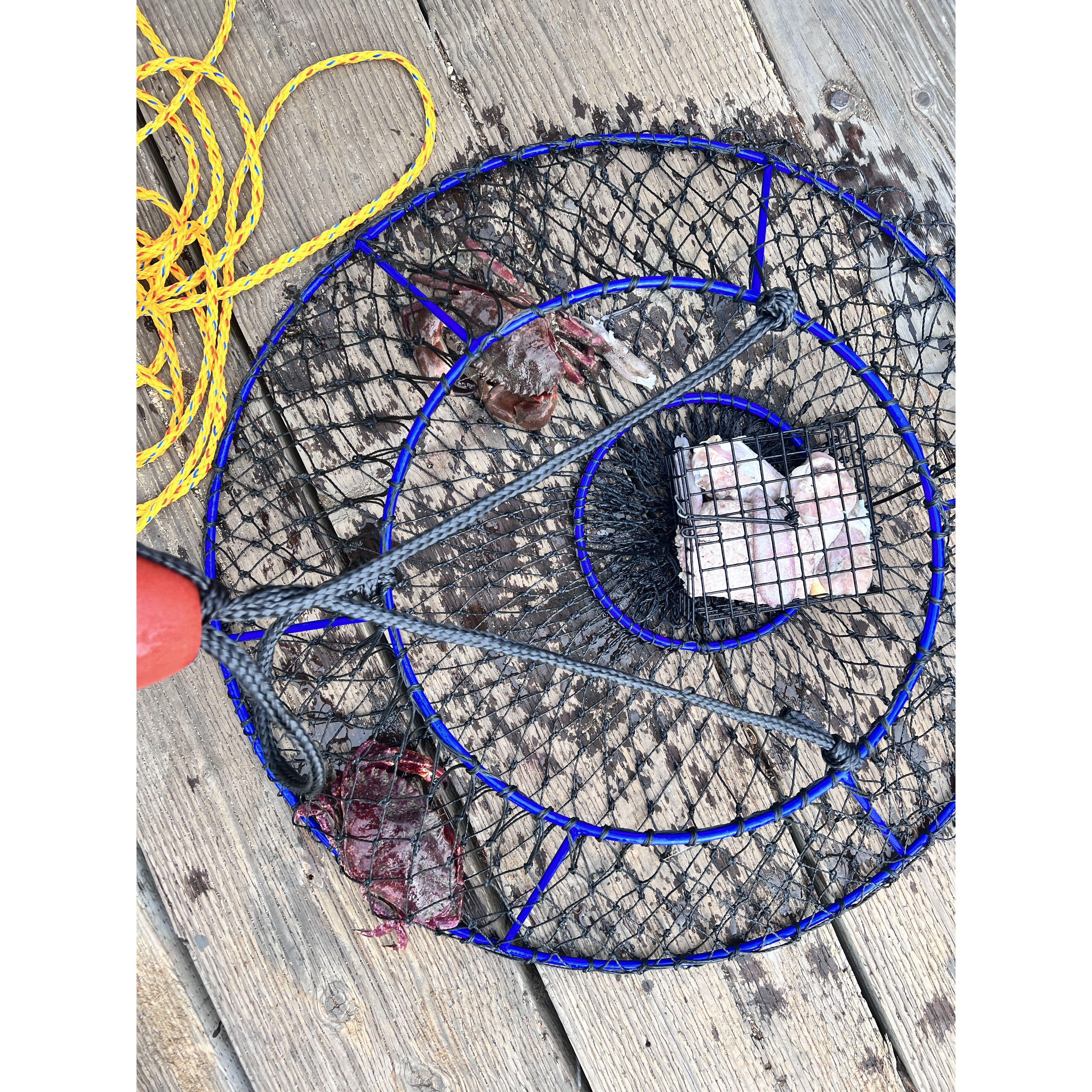 We don't eat frog, but we do like to boil and eat our sea food spoils.