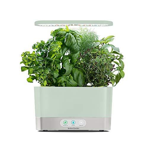 AeroGarden Sage Harvest Indoor Garden, 2019 Model