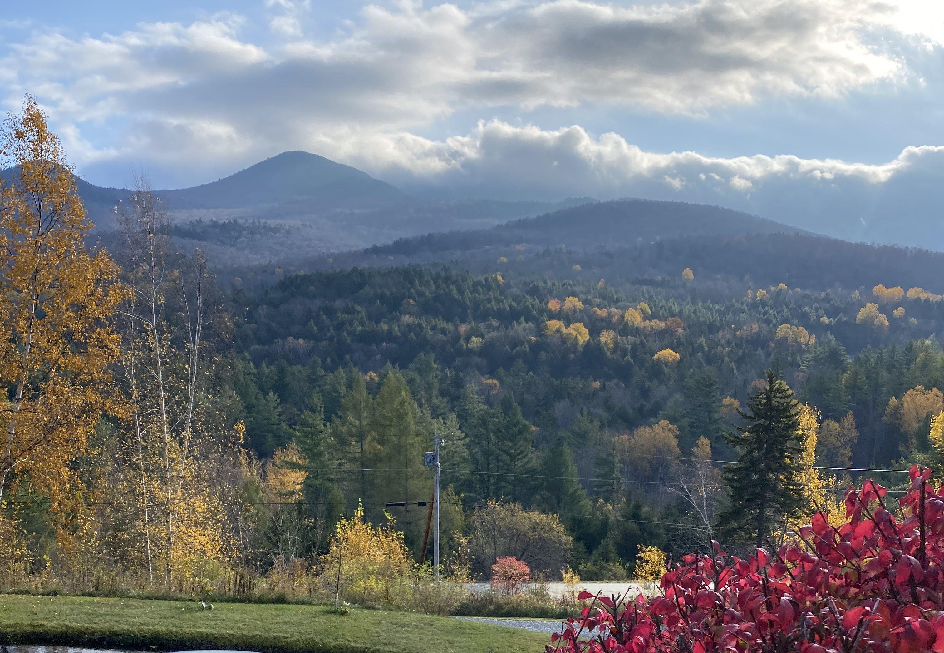 The Wedding Website of Jillian Arena and Matthew Markham