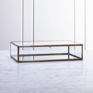 Clarus Display/Jewelry Box