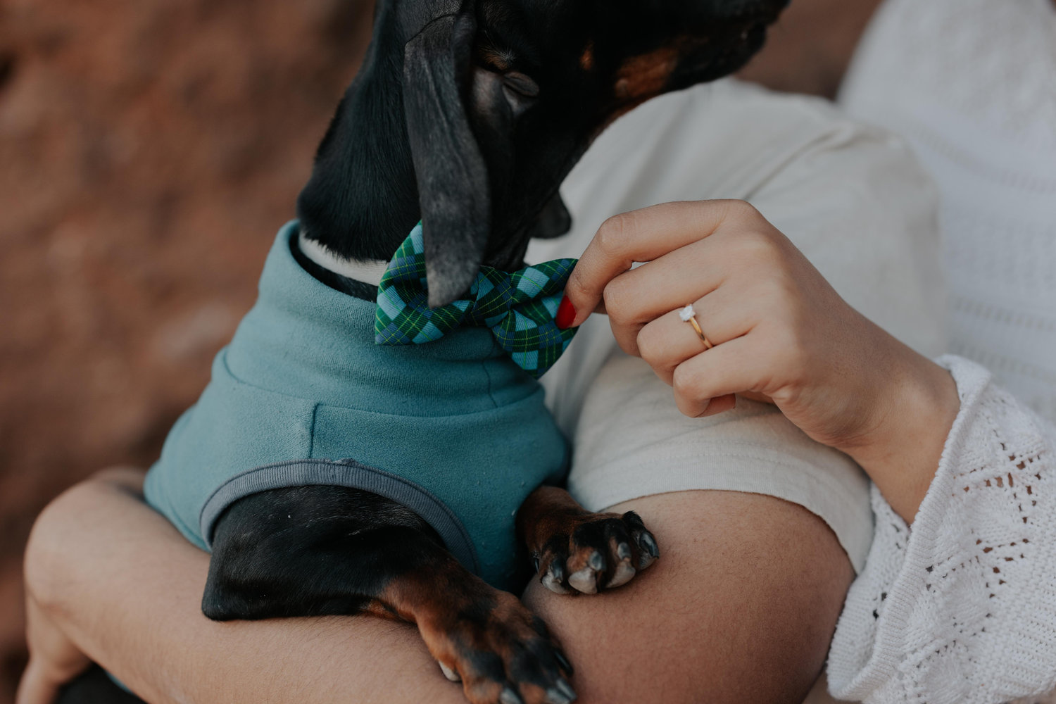 The Wedding Website of Dahlia Sims and Erik Alvarado