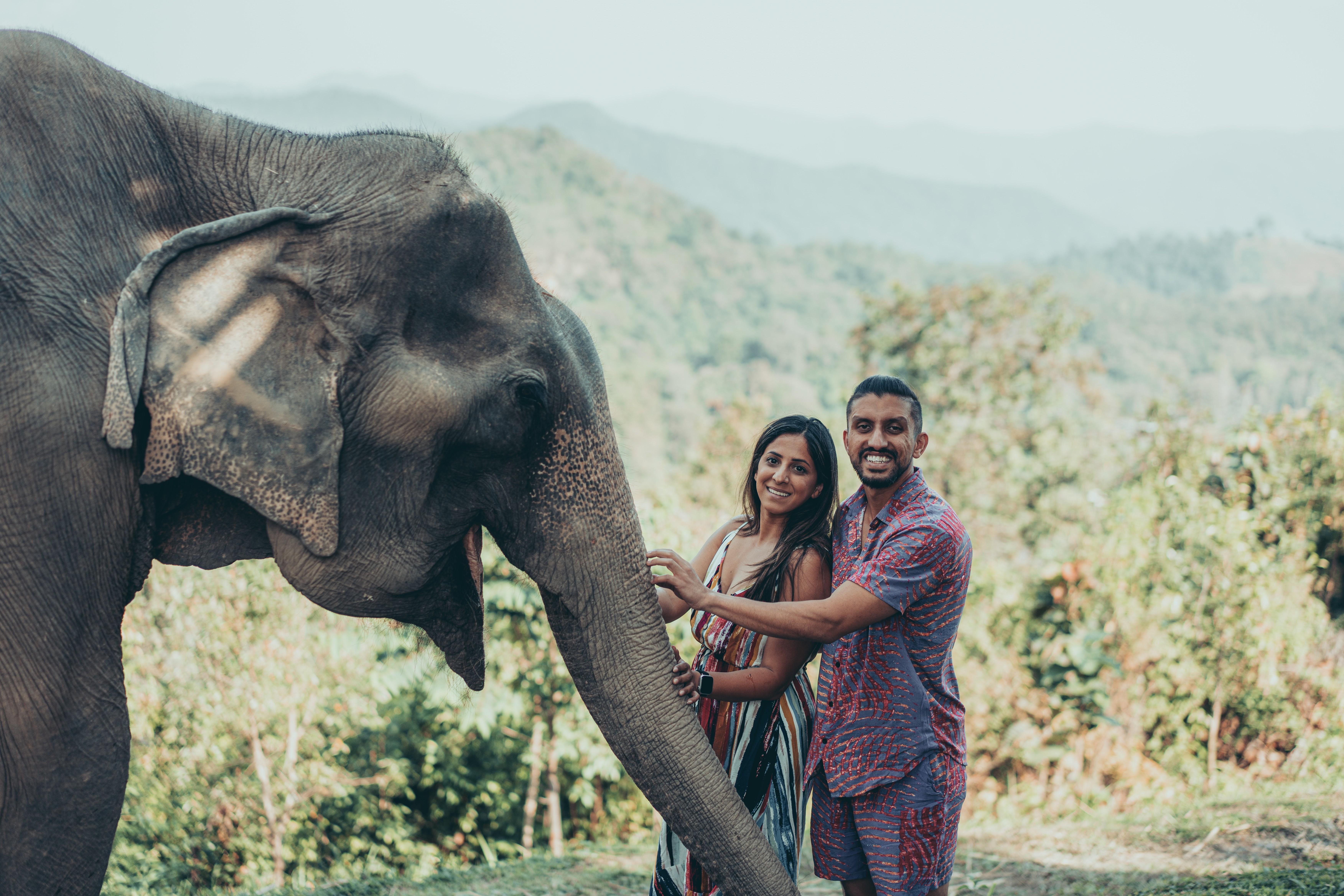 The Wedding Website of Anum Lalani and Farhan Ali