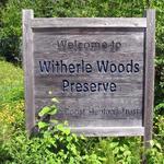 Witherle Woods