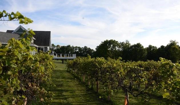 The Wedding Website of Anabelle Smith and Brandon Dable