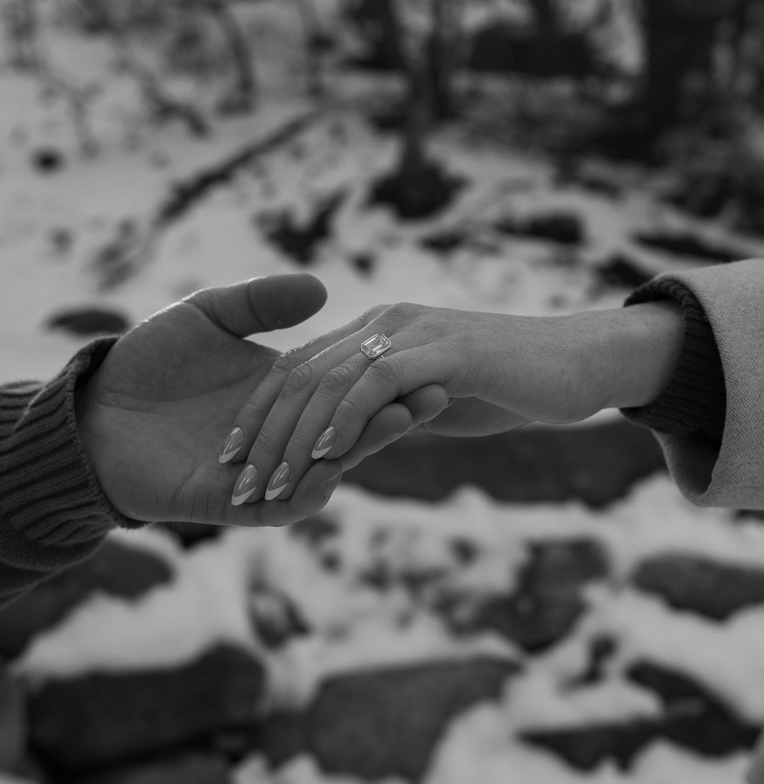 The Wedding Website of Gabrielle Goeckner and Aaron McCallister