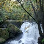 Whatcom Falls