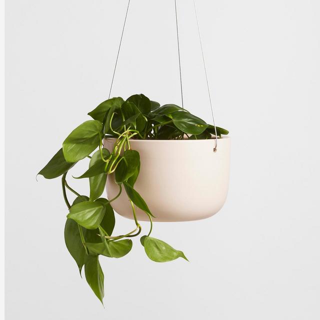 Ceramic Hanging Planter