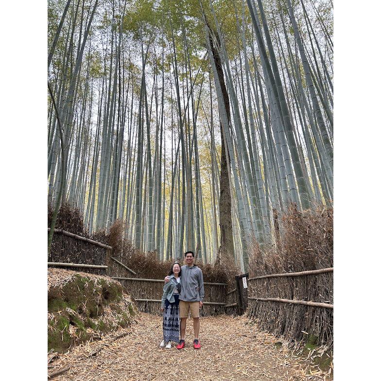 Arashiyama Bamboo Forest, Kyoto, Japan