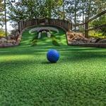 Nisswa Falls Mini Golf