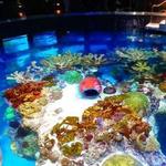 New England Aquarium