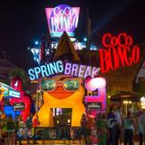 Coco Bongo