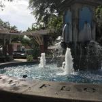 Winter Garden Farmers Market