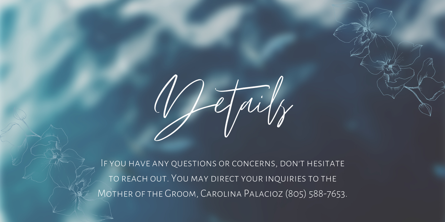 The Wedding Website of Breanna LaLone and Sergio Palacioz