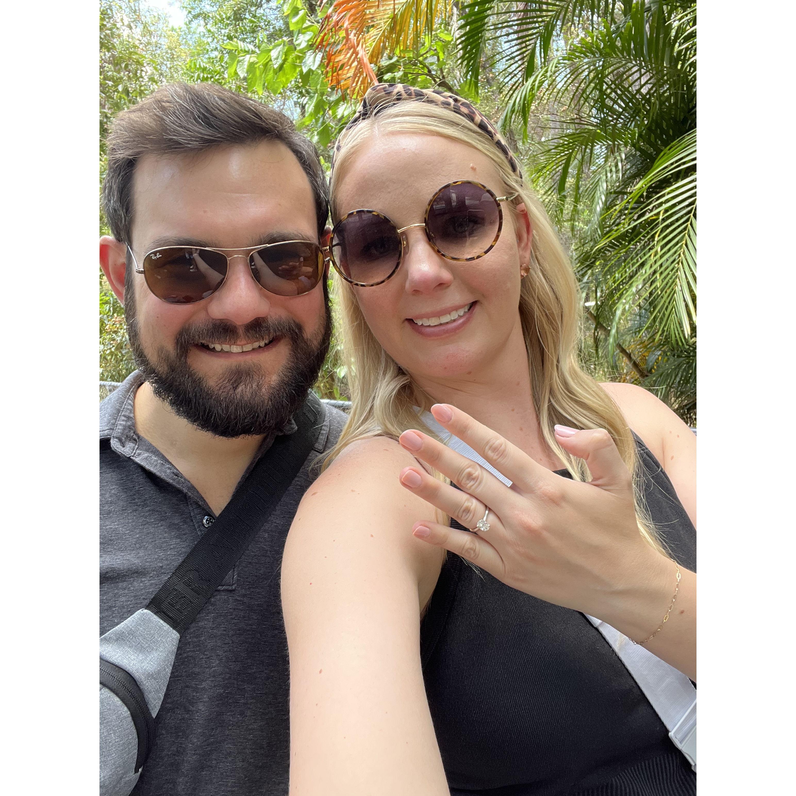 She said yes!!