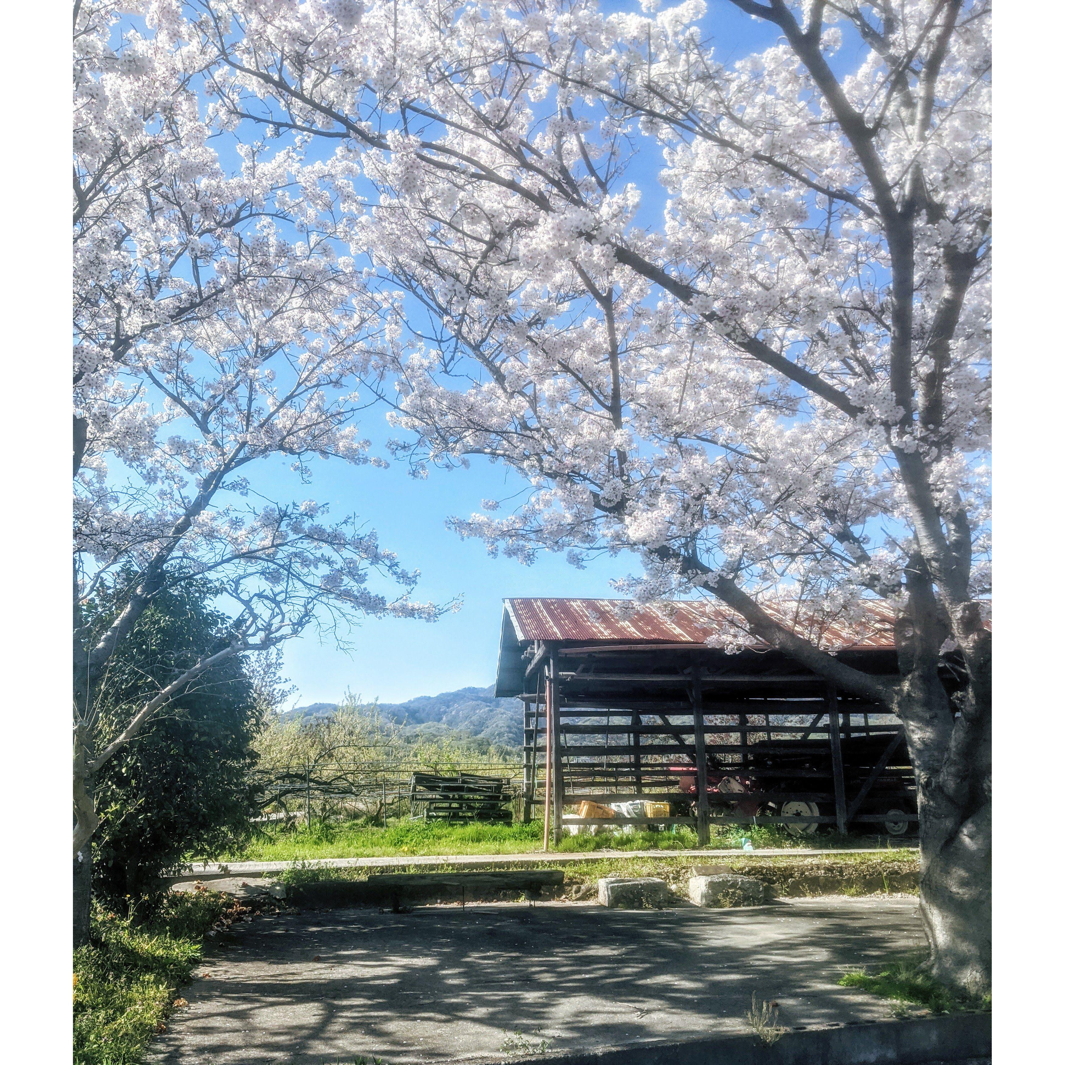 outside our first home together - Iwade, Japan