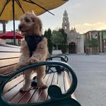 Balboa Park