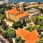 American University in Beirut